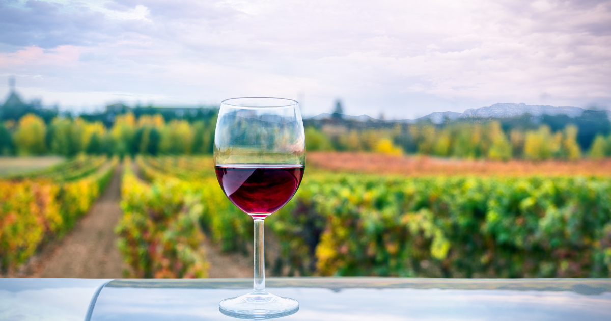 Ποια είναι τα 3 βασικά χαρακτηριστικά του κρασιού?